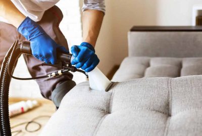 7 Undesirables That May Be Lurking In Your Home’s Carpets and Couches